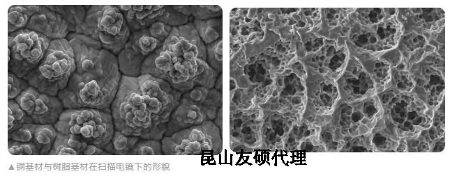 松原蔡司松原扫描电镜